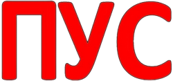 Буквосочетание Пус.